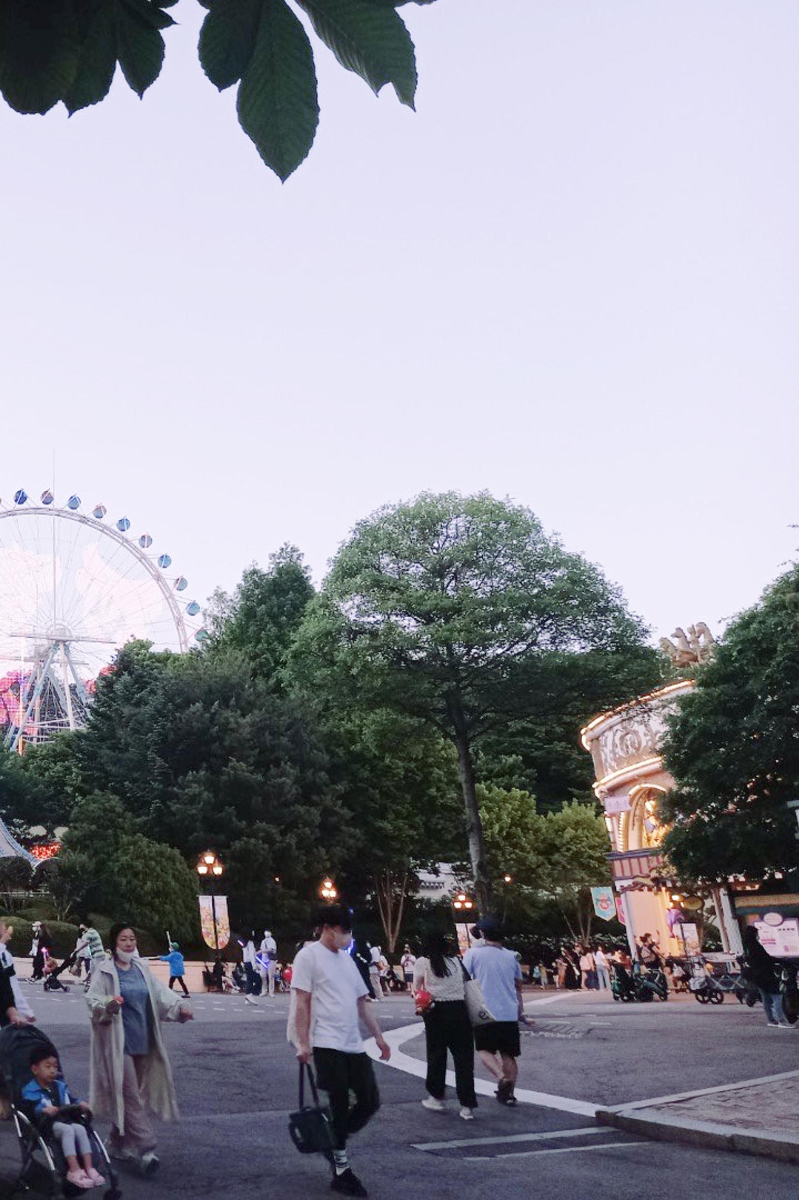 6월 6일 에버랜드 여행  37페이지