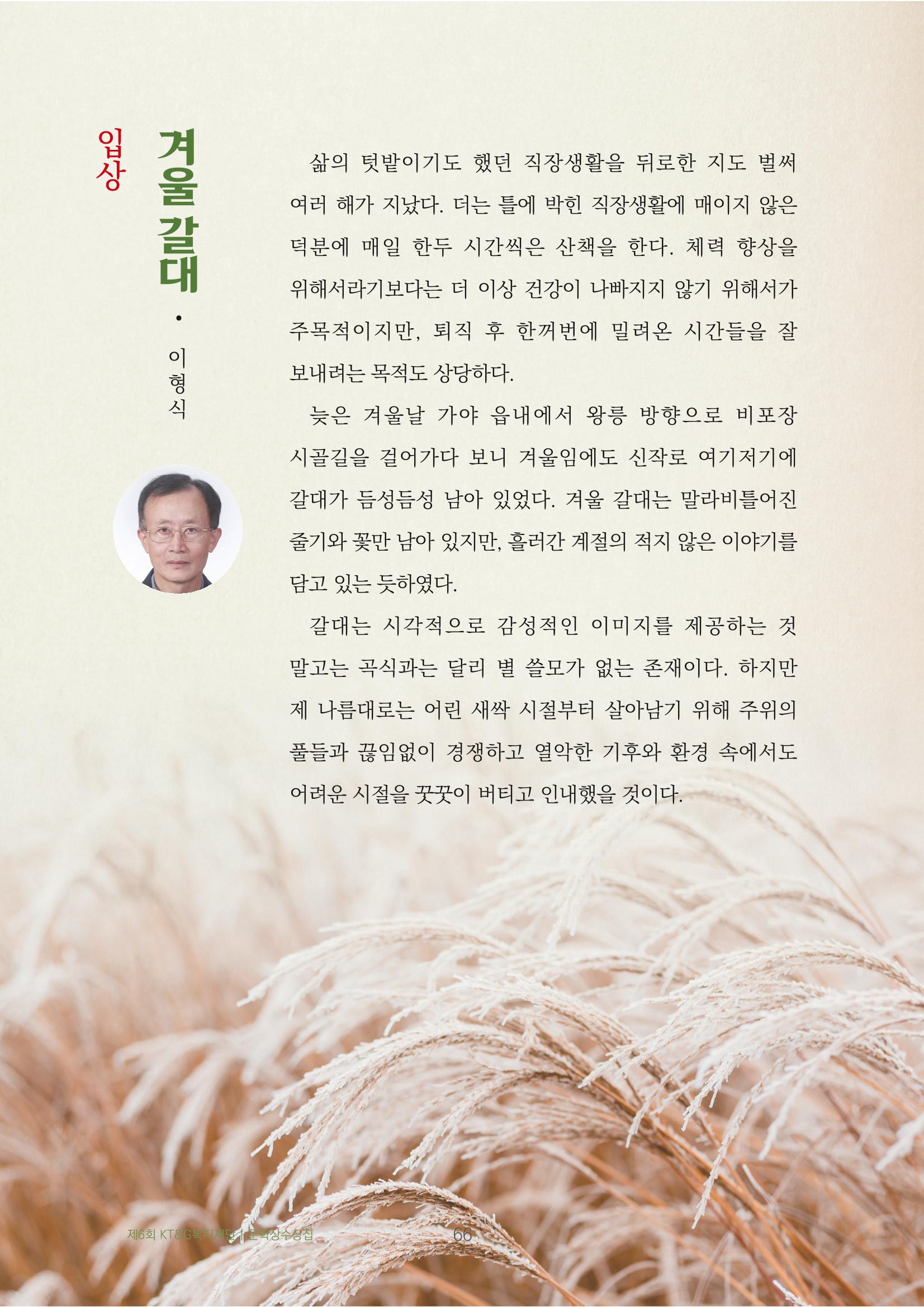겨울 갈대 2페이지