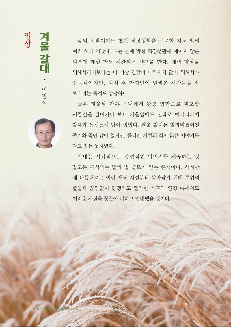 겨울 갈대 2페이지