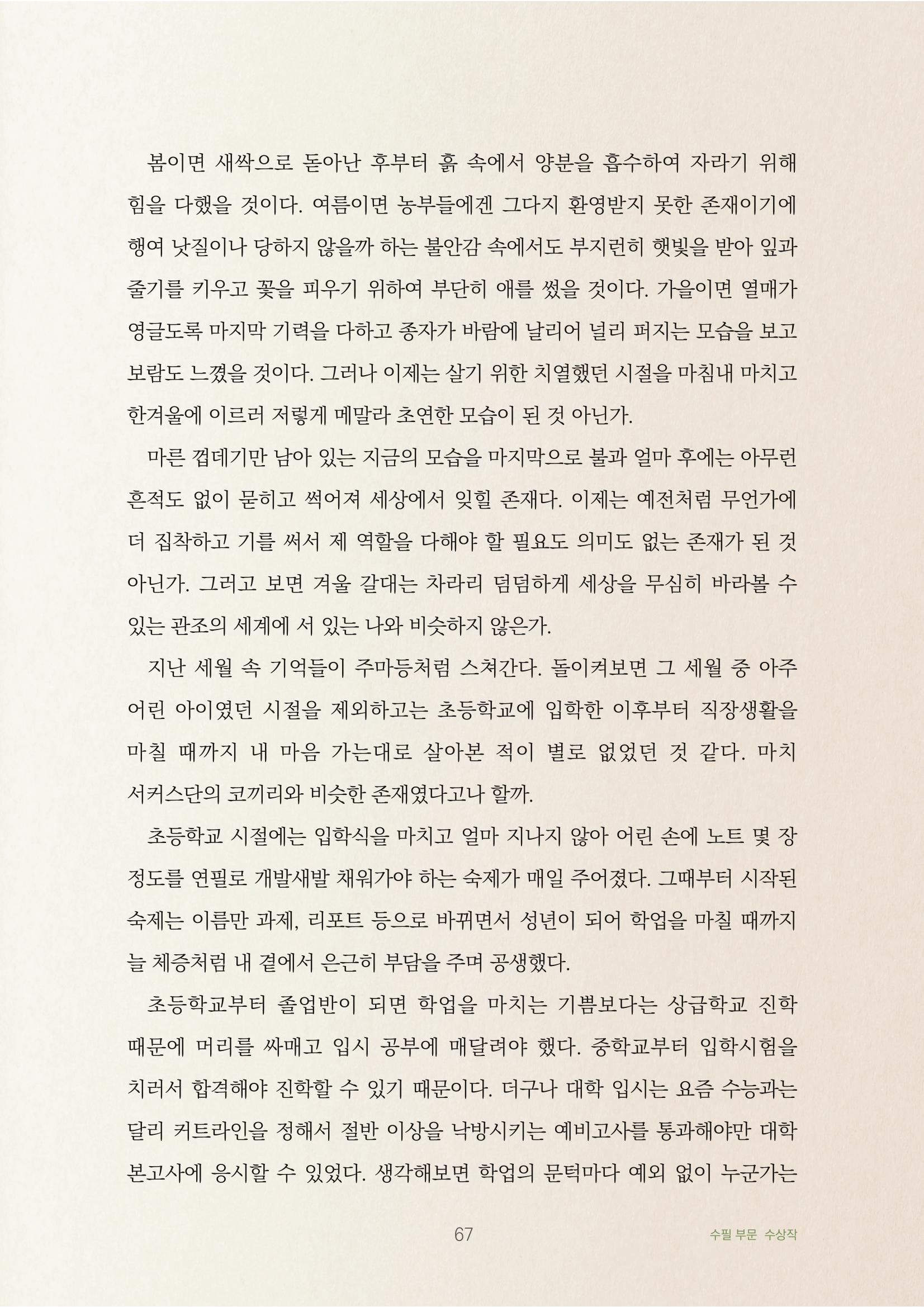 겨울 갈대 3페이지