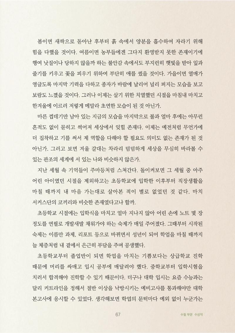 겨울 갈대 3페이지