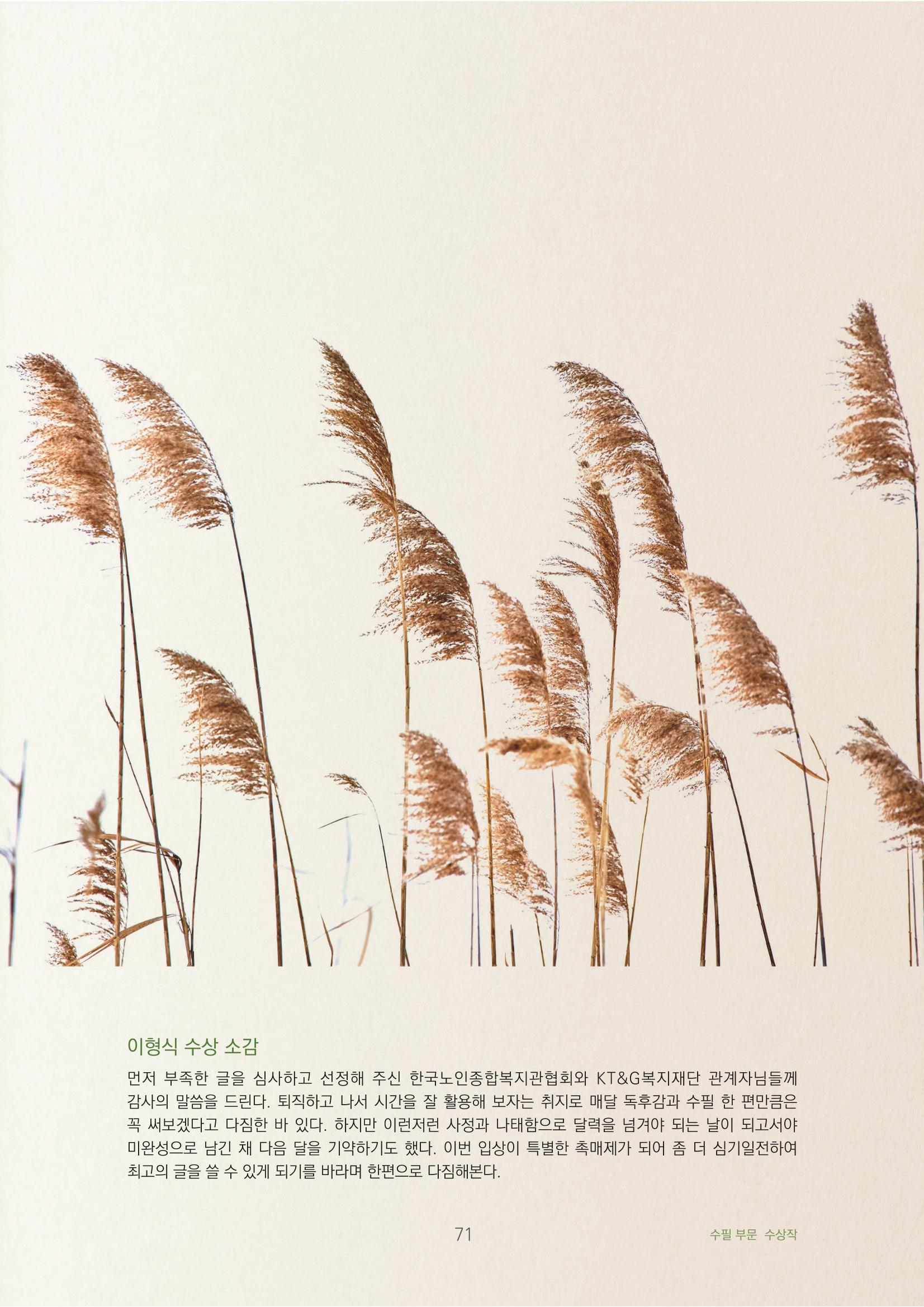 겨울 갈대 7페이지