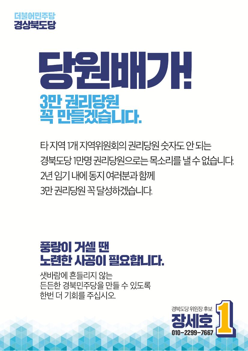 장세호 더불어민주당 경상북도당 위원장후보 2페이지