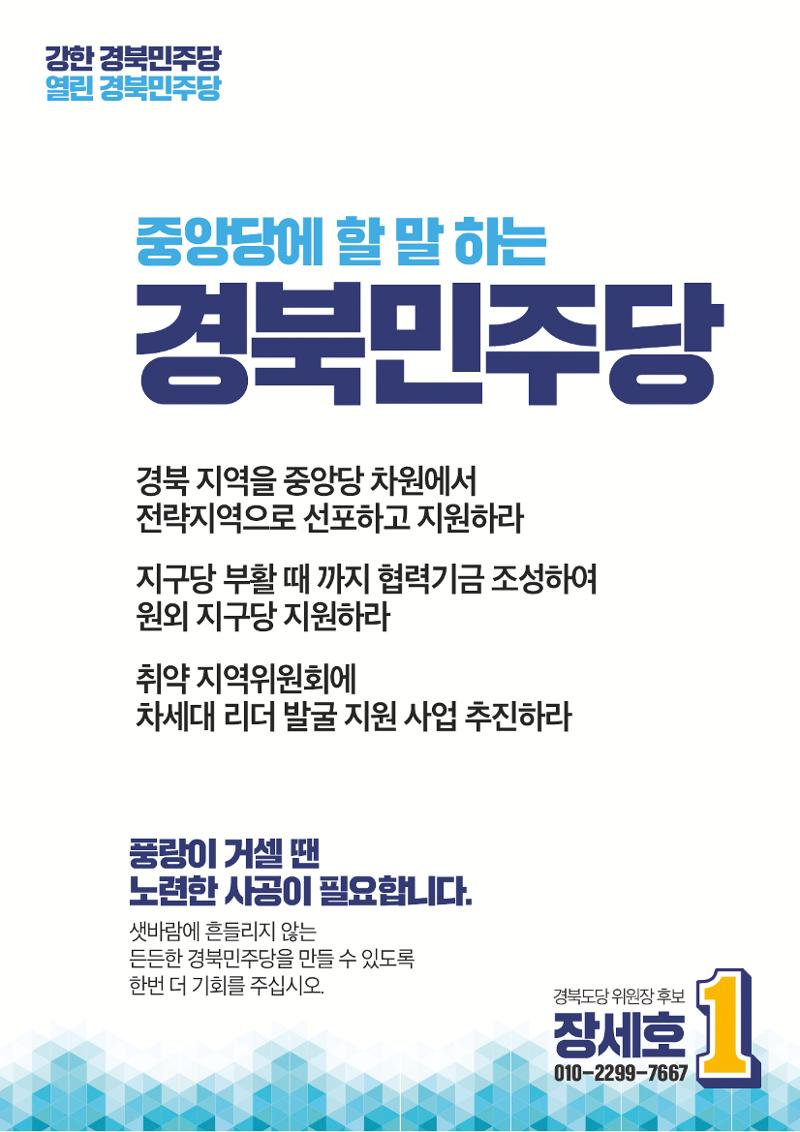 장세호 후보 10페이지