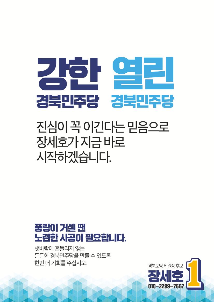 장세호 후보 11페이지