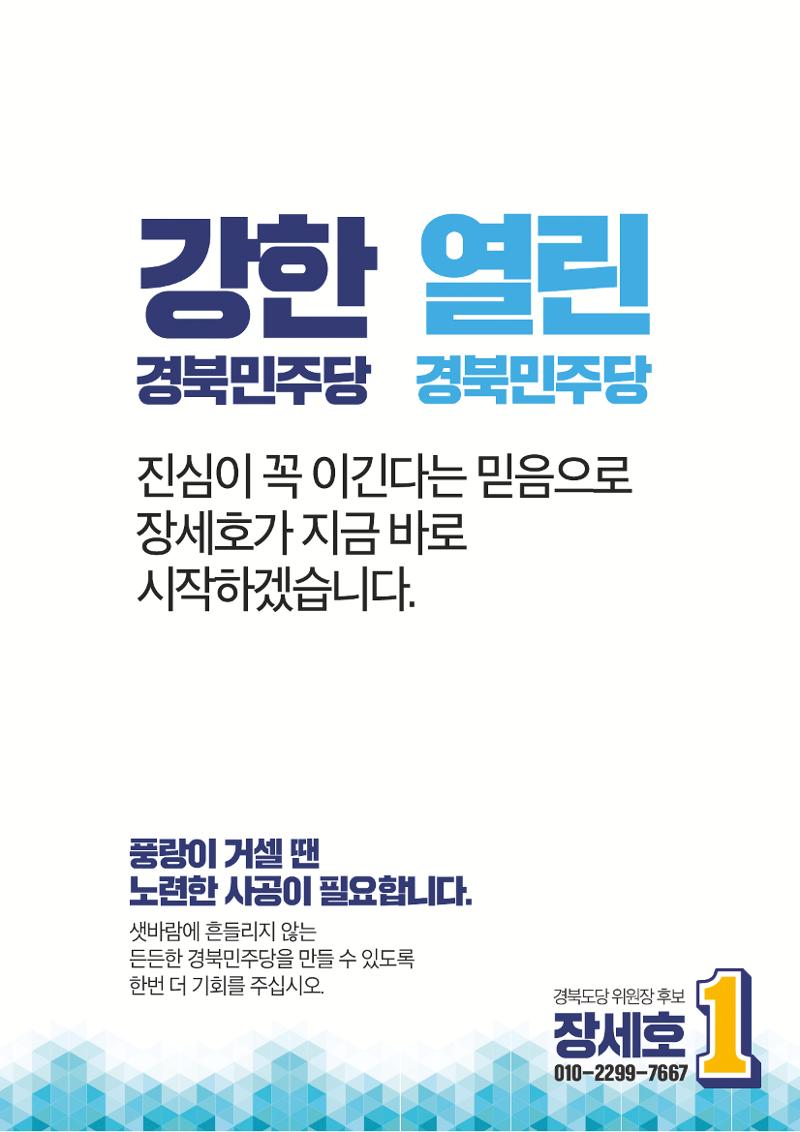 장세호 후보 11페이지