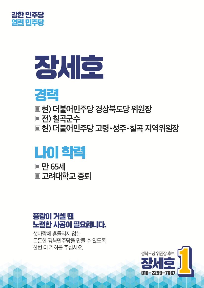 장세호 후보 12페이지