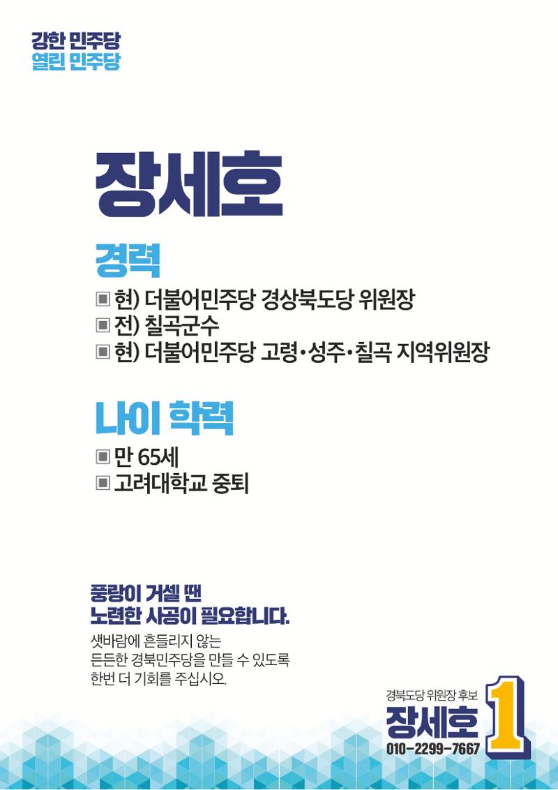 장세호 후보 12페이지