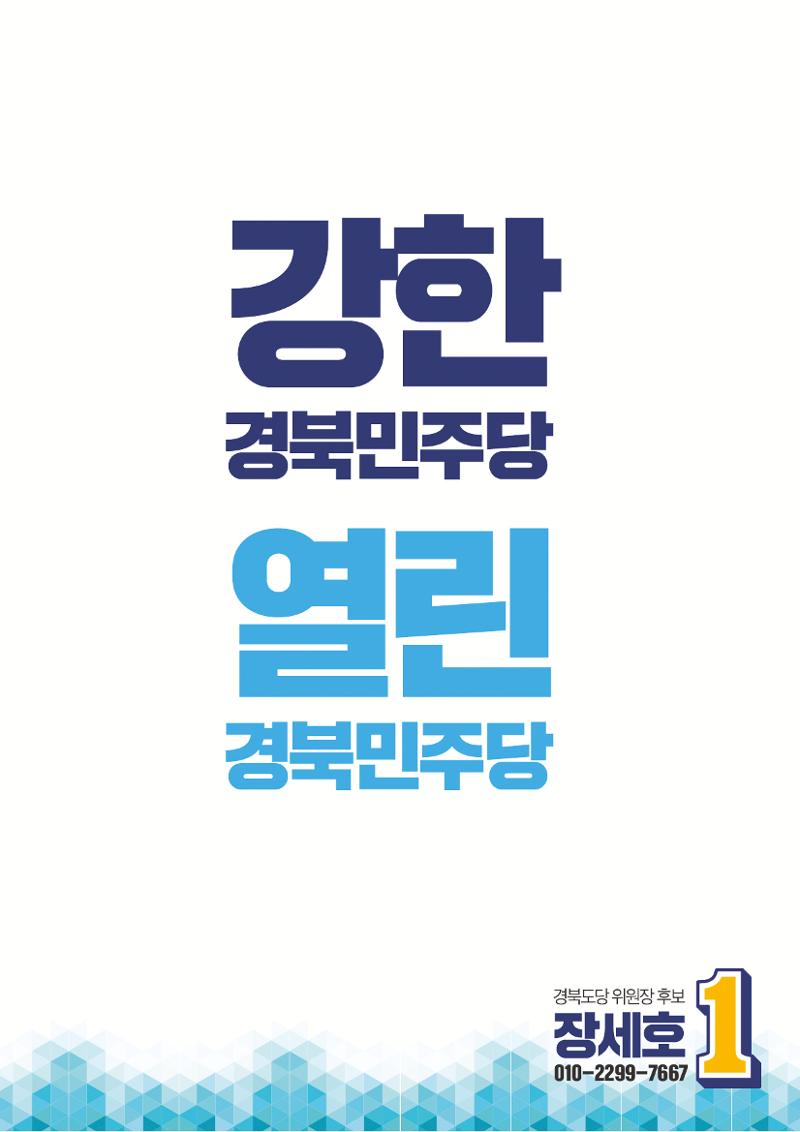 장세호 후보 2페이지