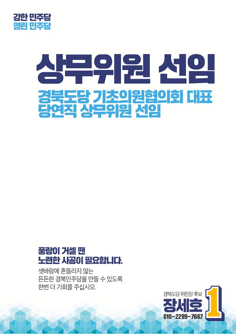 장세호 후보 8페이지