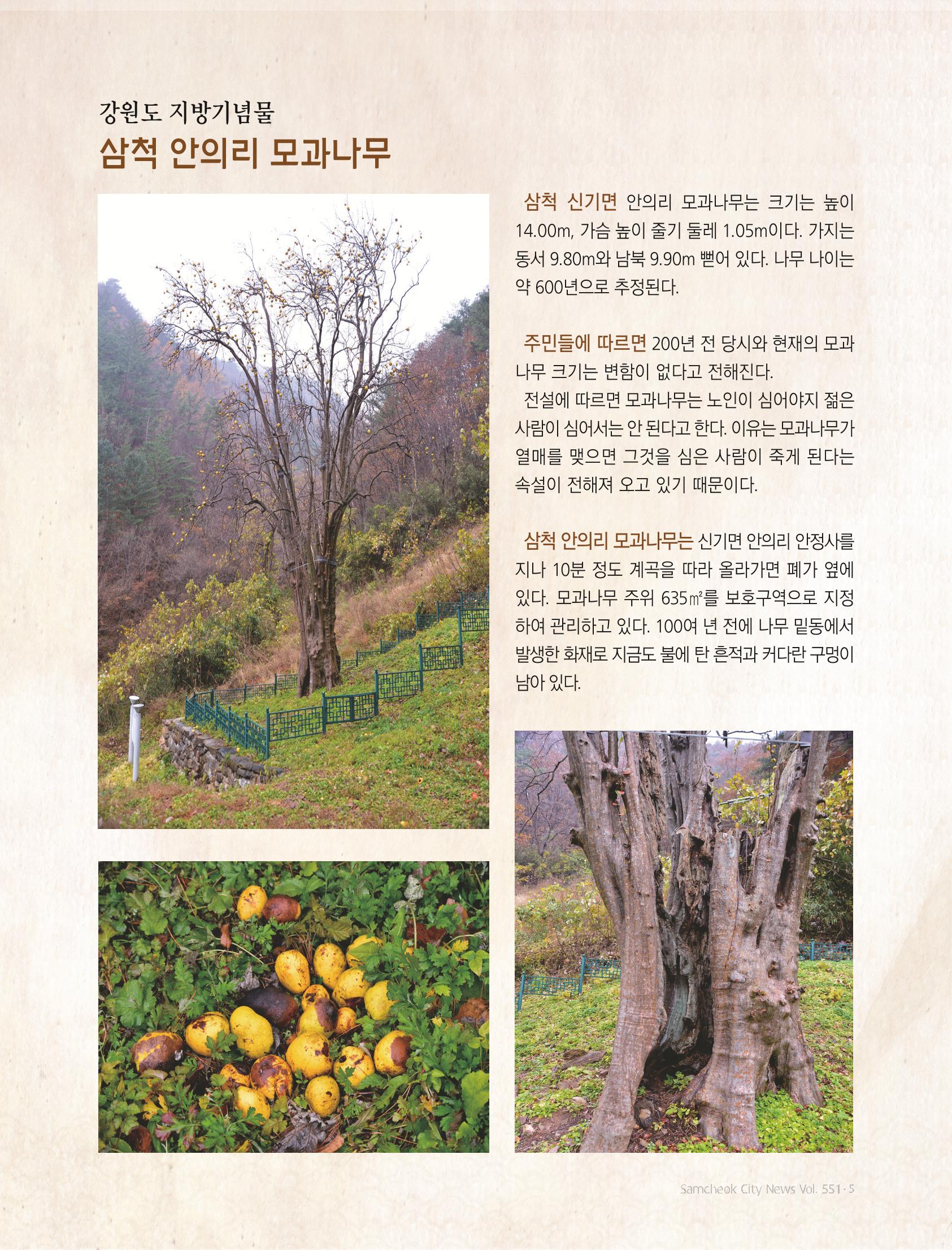 2022년 8월 삼척 시정소식지 5페이지