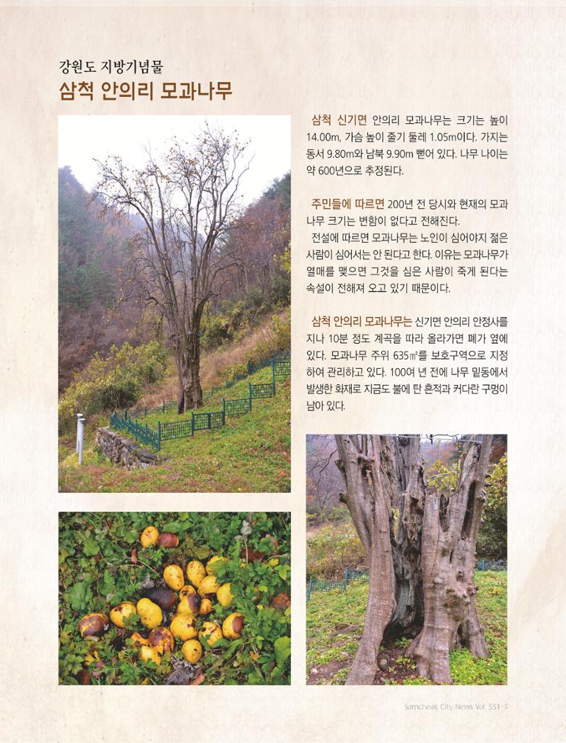2022년 8월 삼척 시정소식지 5페이지