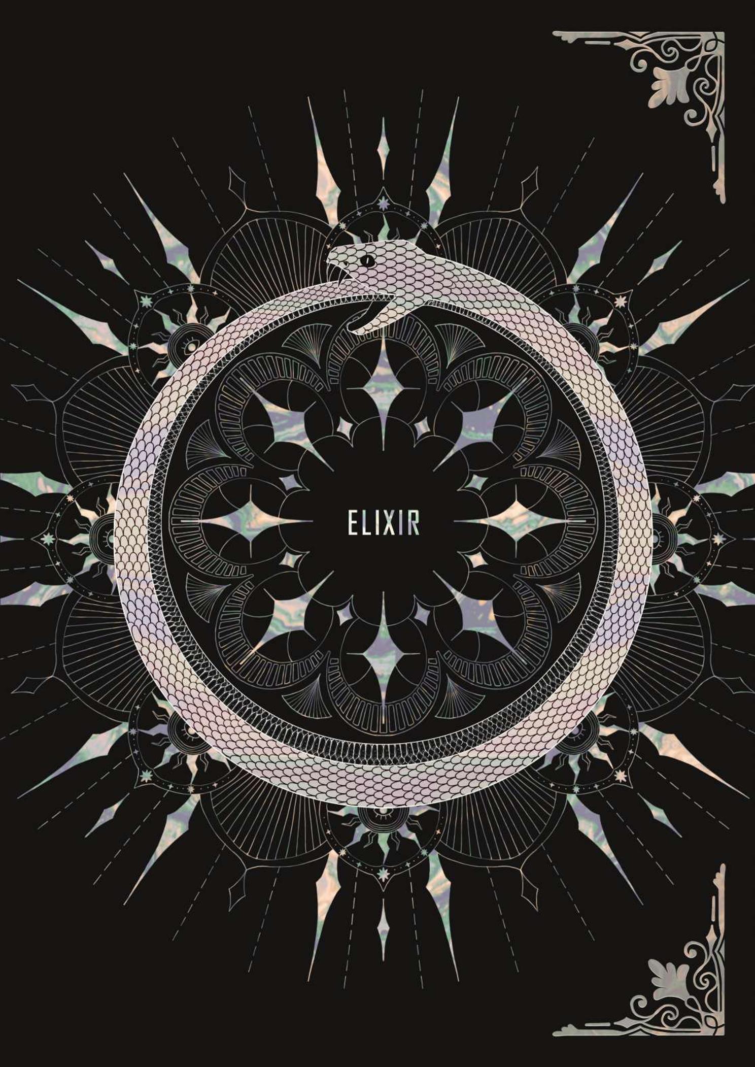 ELIXIR 1페이지