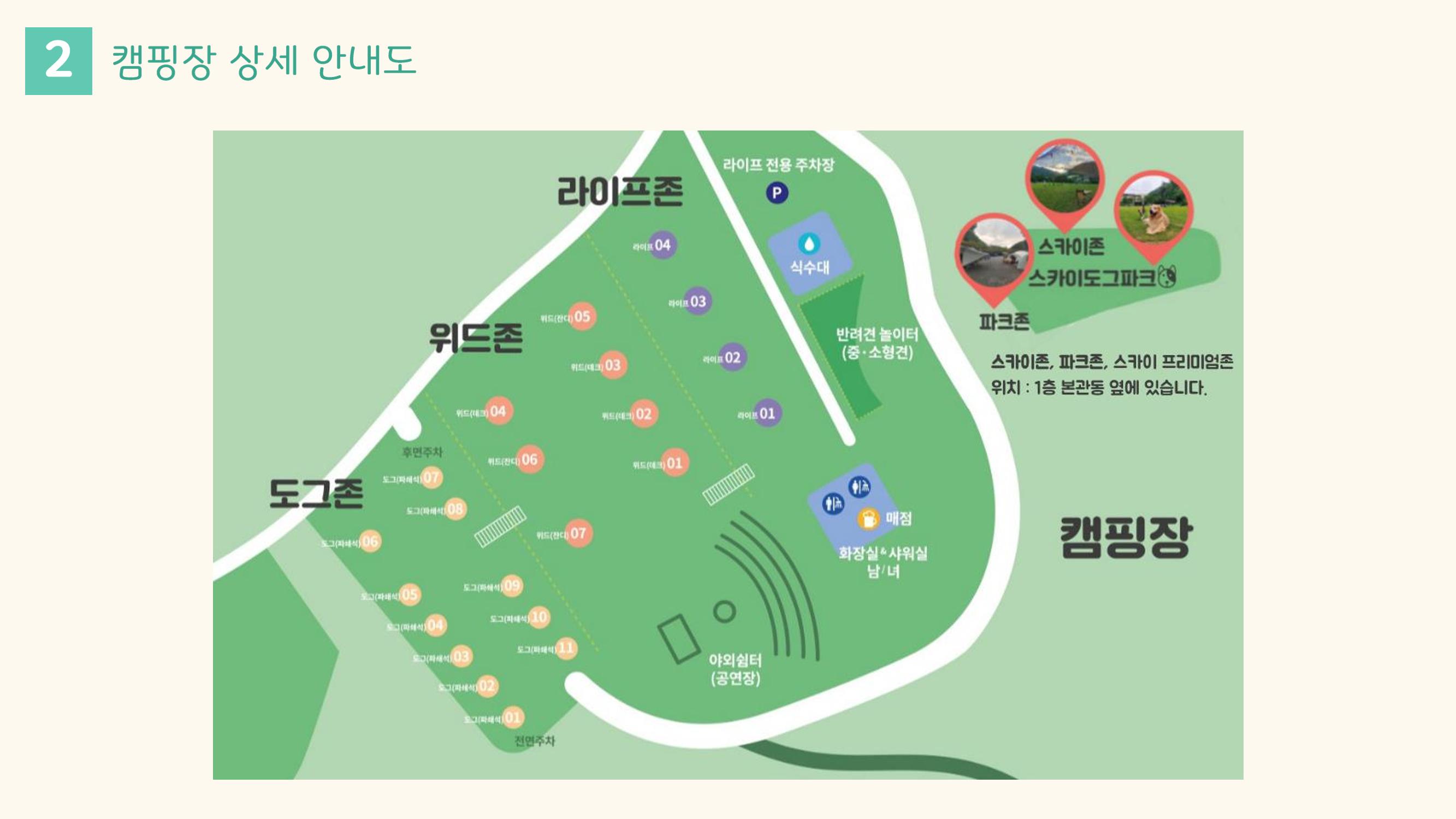 라이프위드도그 소개서 10페이지