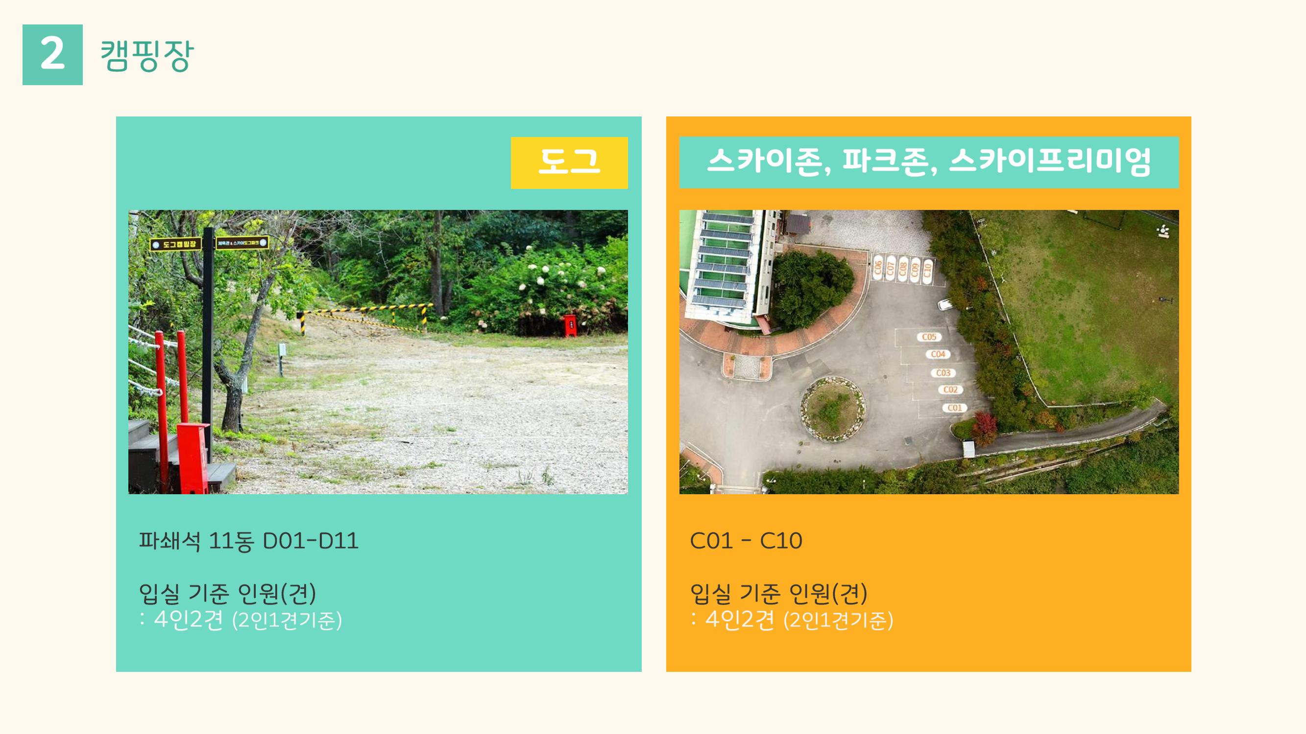 라이프위드도그 소개서 13페이지