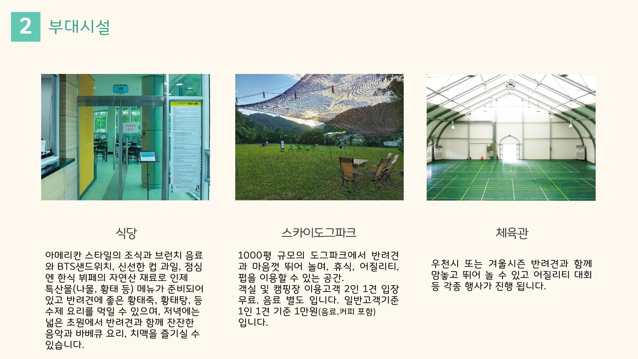 라이프위드도그 소개서 14페이지
