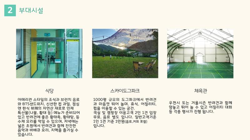라이프위드도그 소개서 14페이지