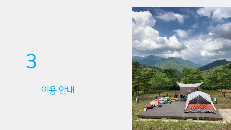 라이프위드도그 소개서 17페이지