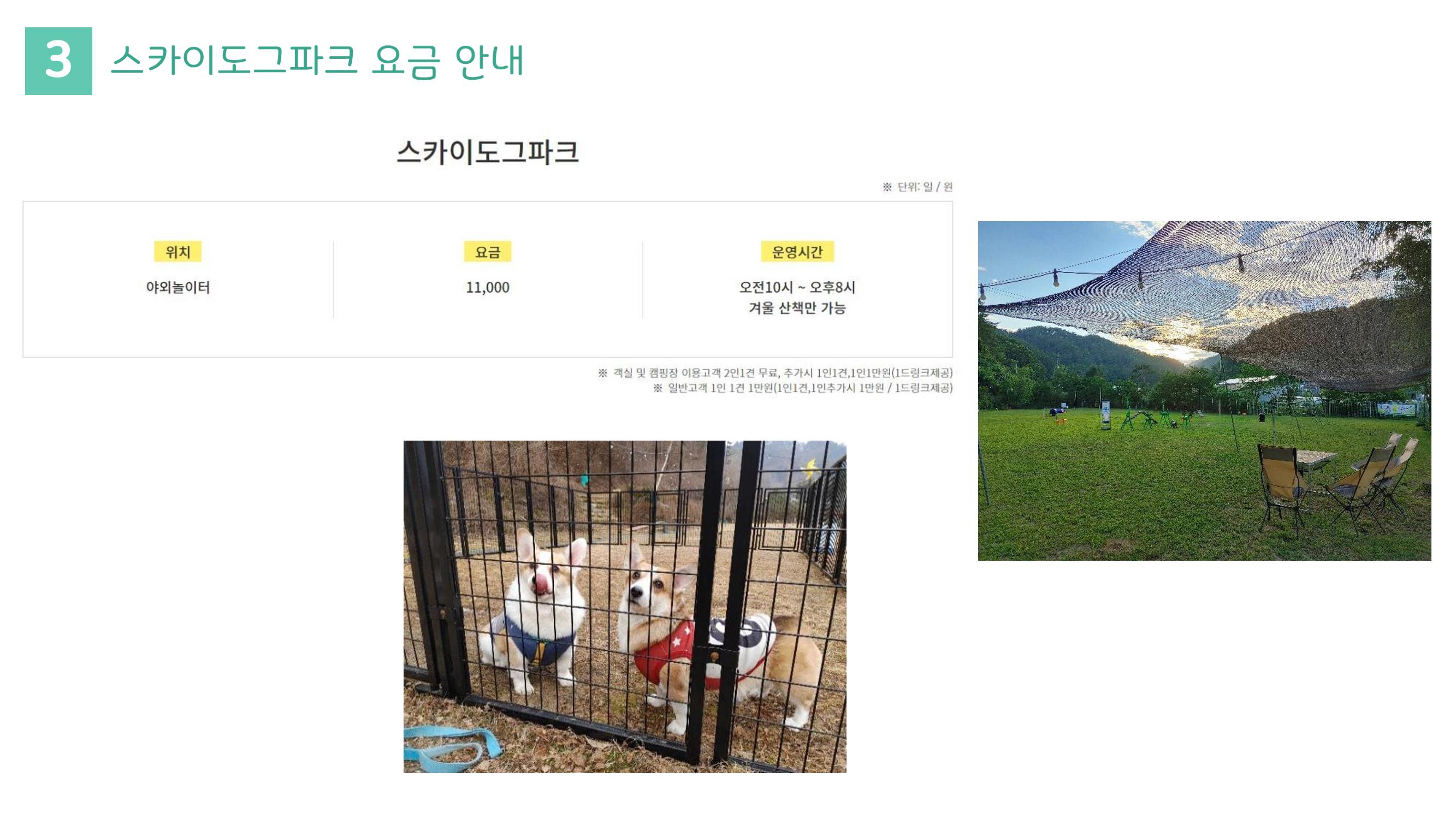 라이프위드도그 소개서 20페이지