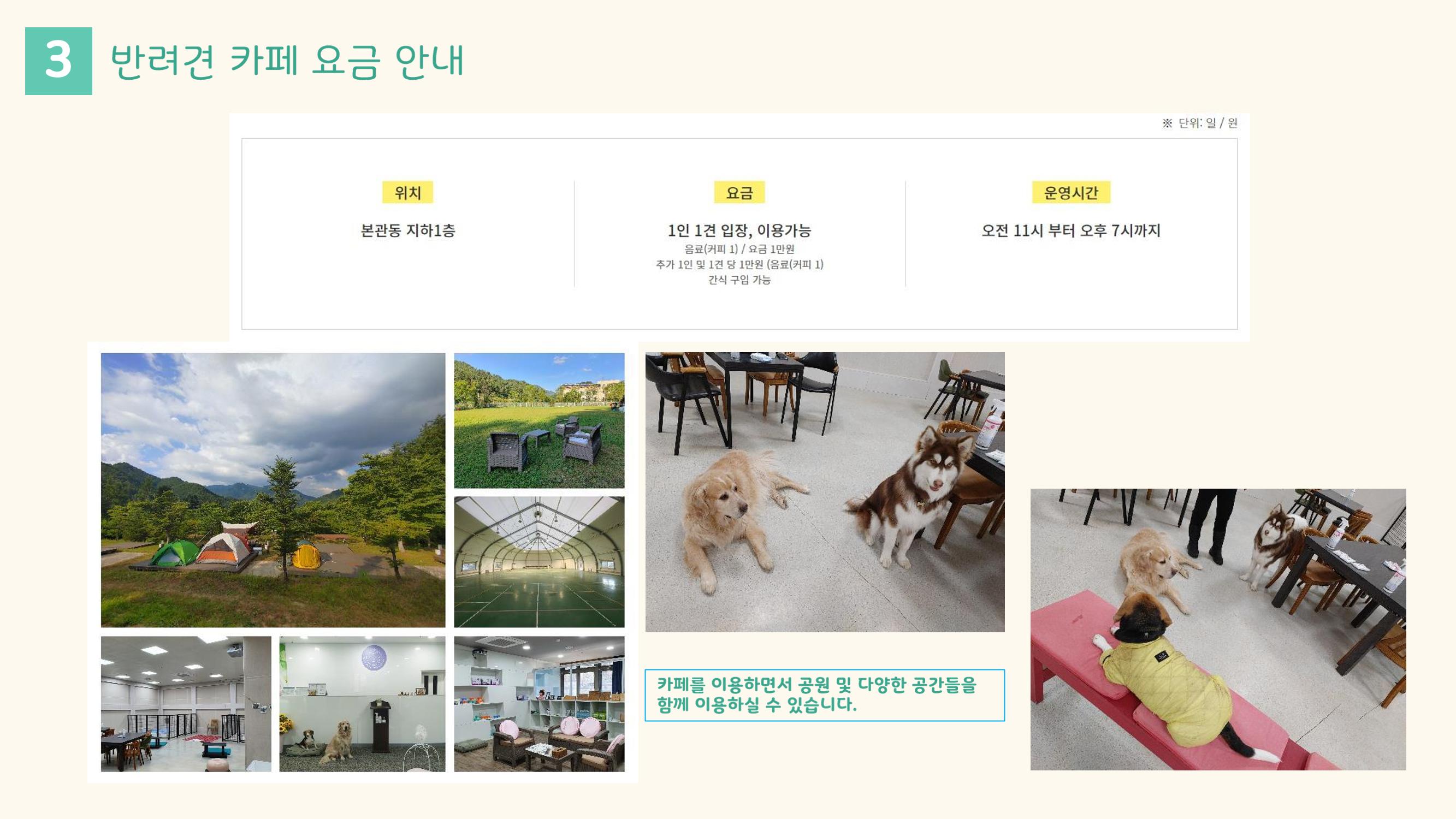 라이프위드도그 소개서 22페이지