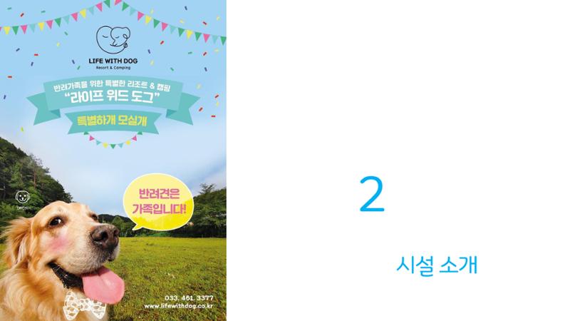 라이프위드도그 소개서 6페이지
