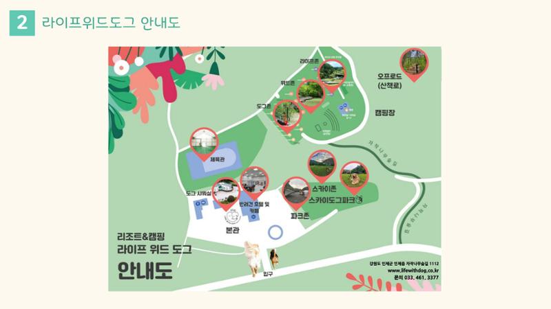 라이프위드도그 소개서 7페이지