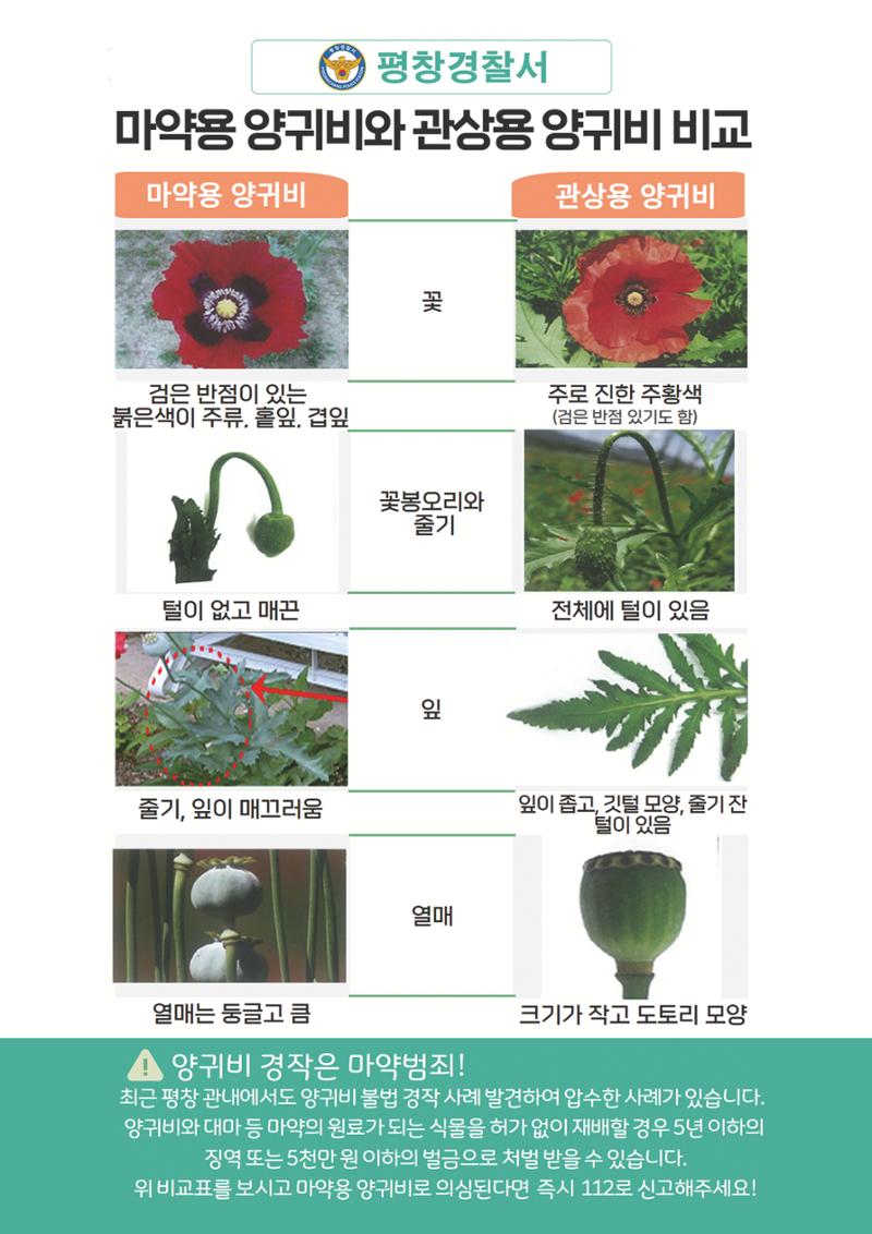 평창이야기 9월호 36페이지
