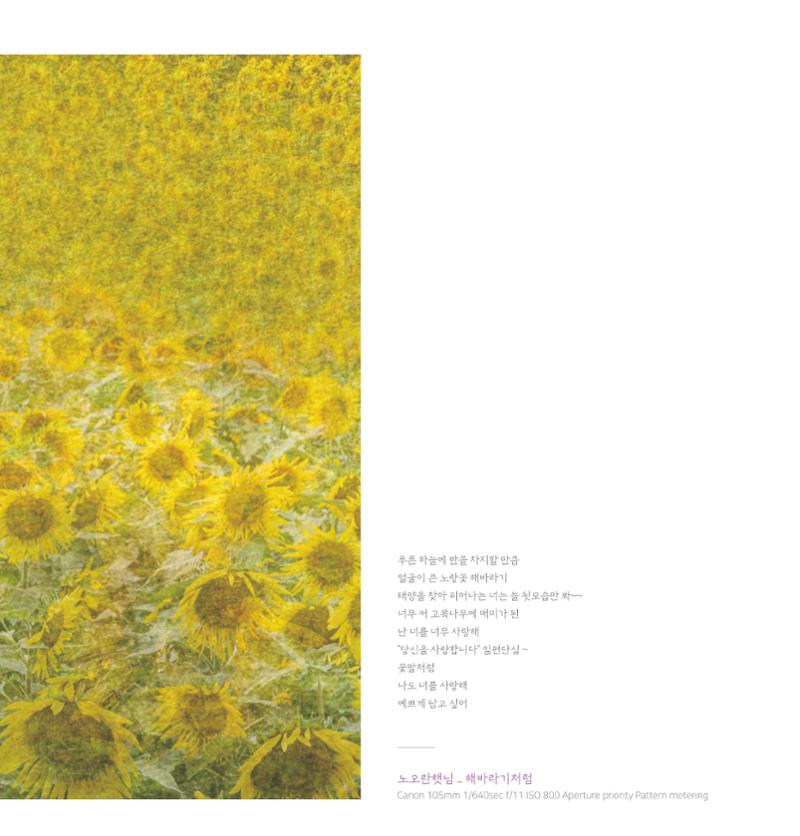 나의행복 전시 도록_혜안심 Insuk_kim 11페이지