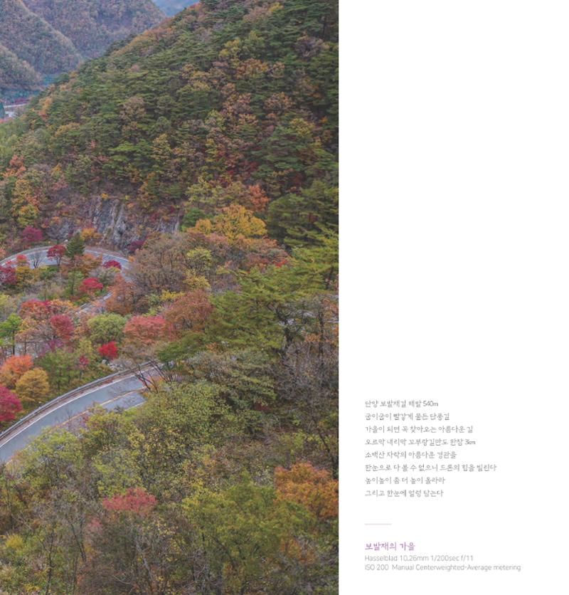 나의행복 전시 도록_혜안심 Insuk_kim 17페이지