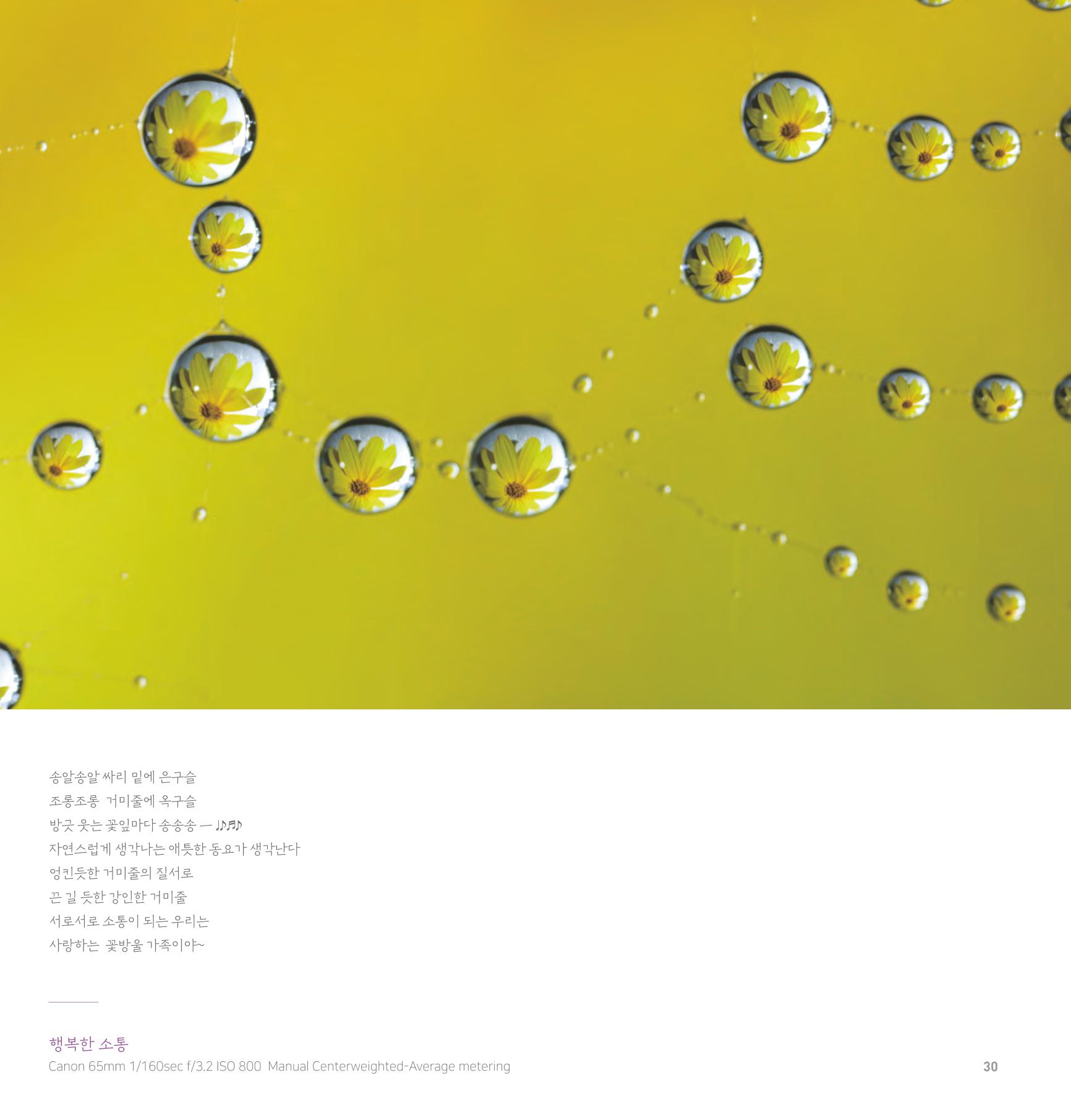나의행복 전시 도록_혜안심 Insuk_kim 30페이지