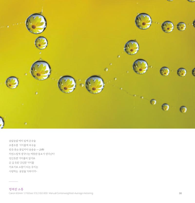 나의행복 전시 도록_혜안심 Insuk_kim 30페이지
