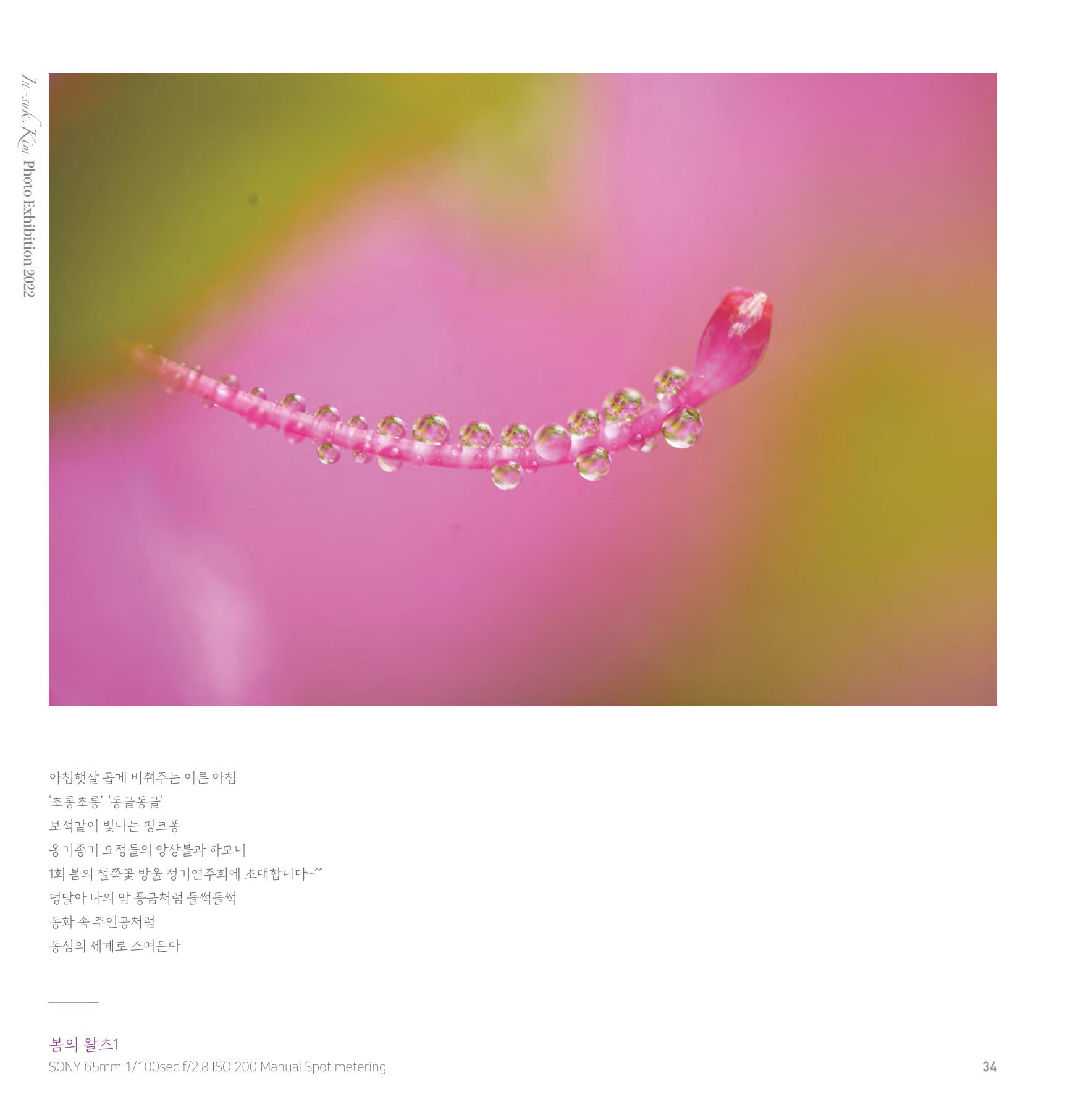 나의행복 전시 도록_혜안심 Insuk_kim 34페이지