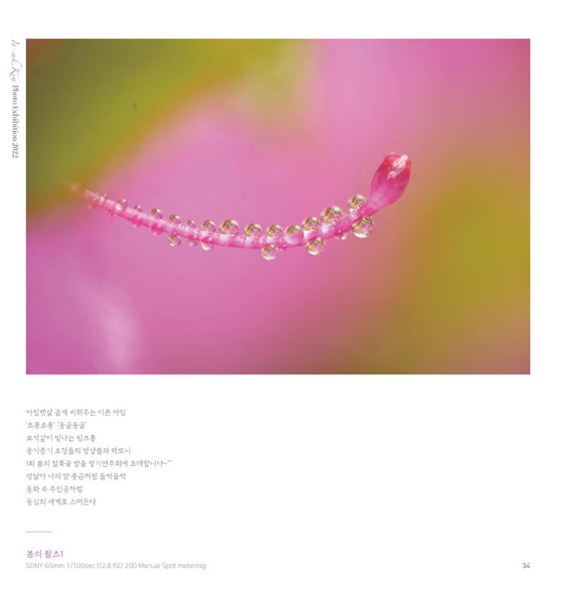 나의행복 전시 도록_혜안심 Insuk_kim 34페이지
