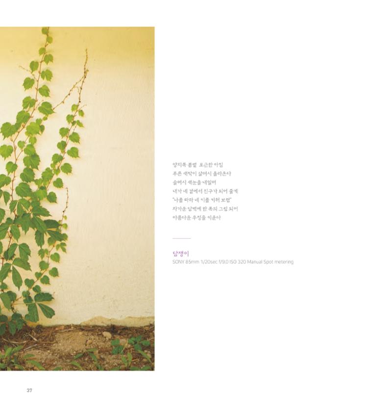 나의행복 전시 도록_혜안심 Insuk_kim 37페이지