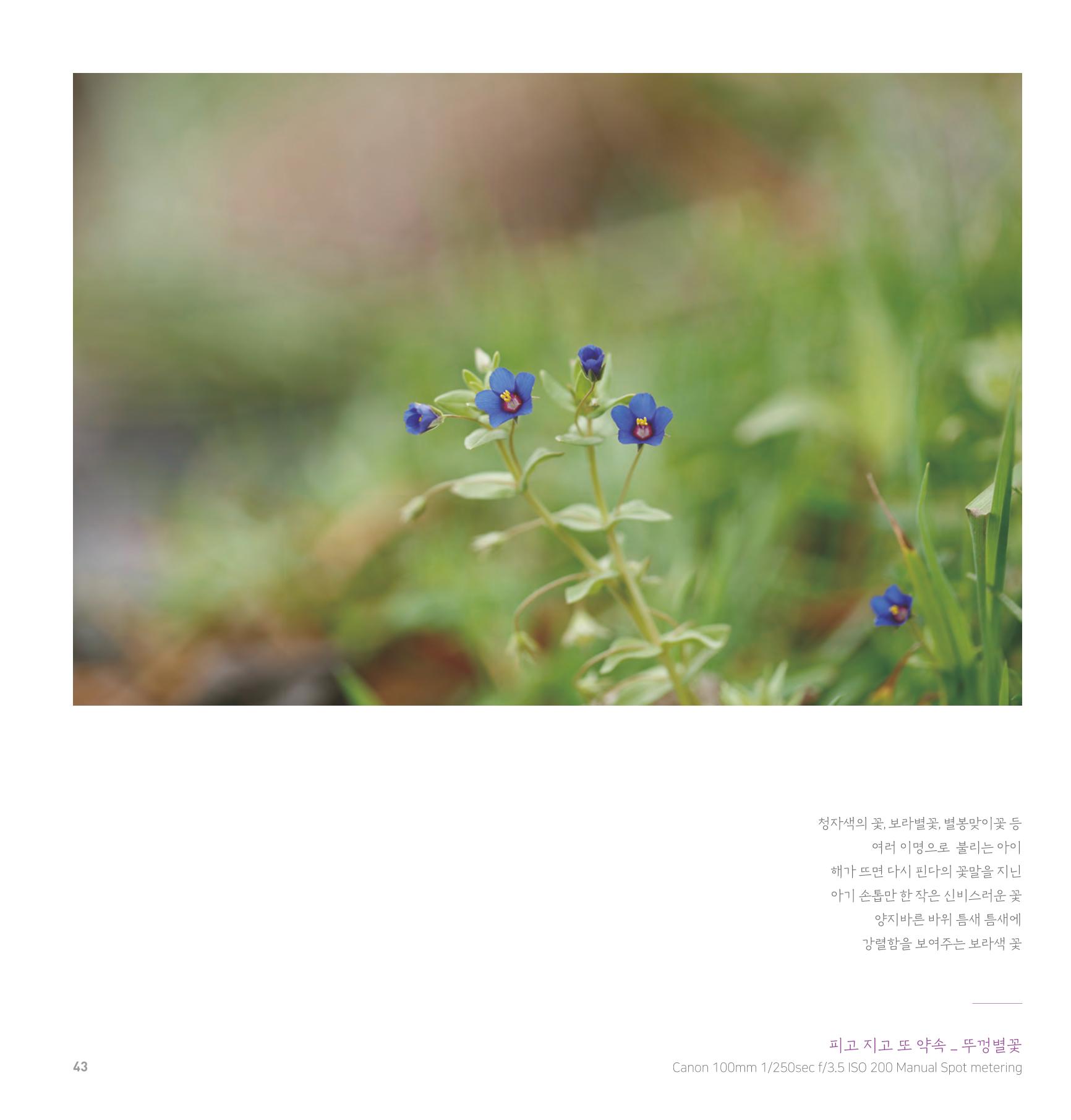 나의행복 전시 도록_혜안심 Insuk_kim 43페이지