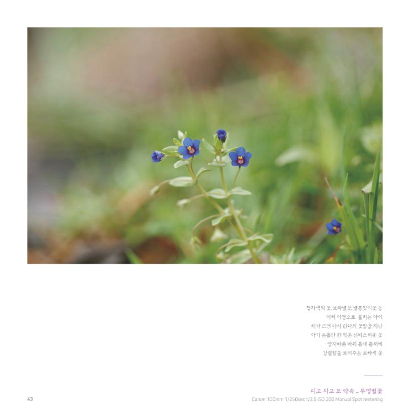 나의행복 전시 도록_혜안심 Insuk_kim 43페이지