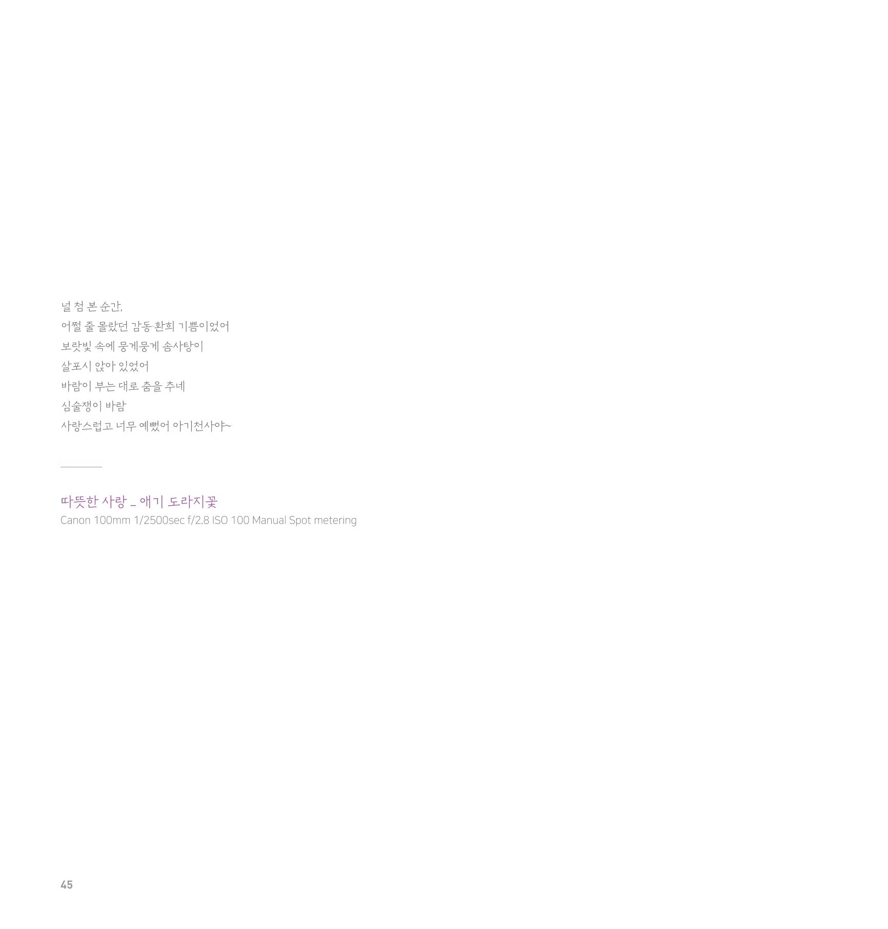 나의행복 전시 도록_혜안심 Insuk_kim 45페이지