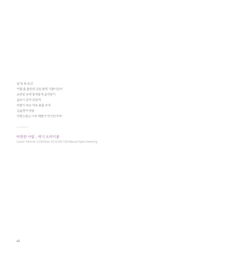 나의행복 전시 도록_혜안심 Insuk_kim 45페이지