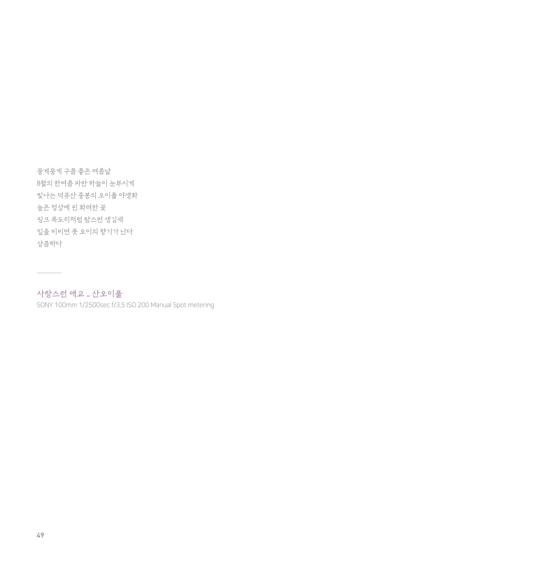 나의행복 전시 도록_혜안심 Insuk_kim 49페이지
