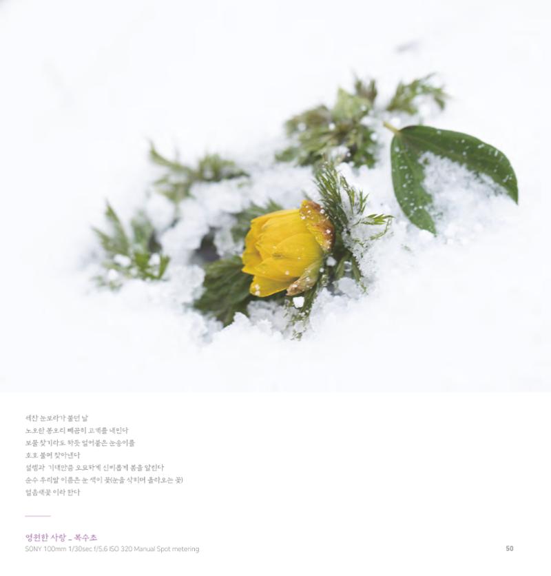 나의행복 전시 도록_혜안심 Insuk_kim 50페이지