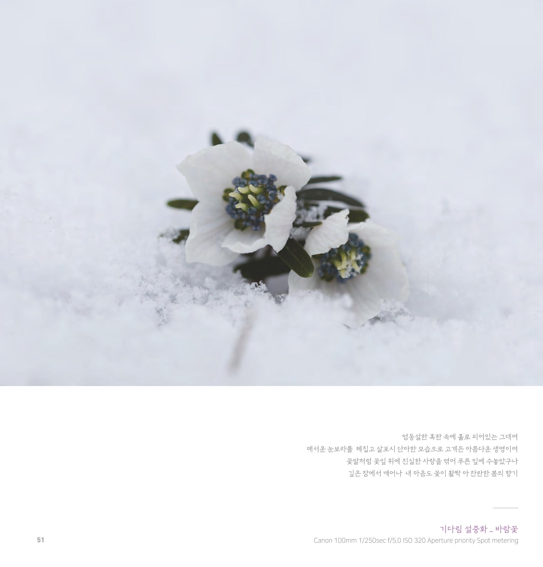 나의행복 전시 도록_혜안심 Insuk_kim 51페이지