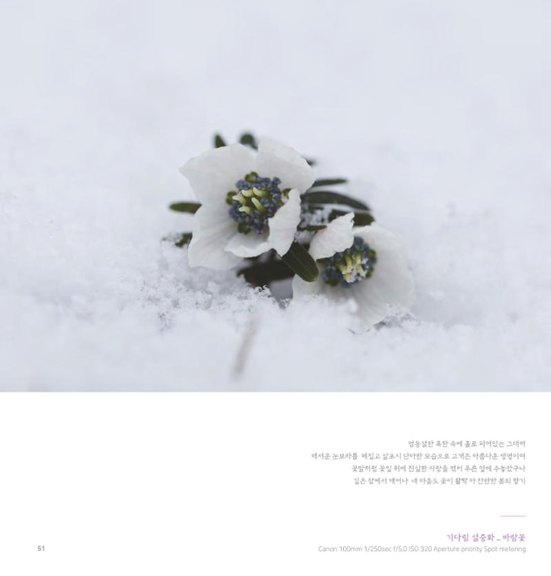 나의행복 전시 도록_혜안심 Insuk_kim 51페이지
