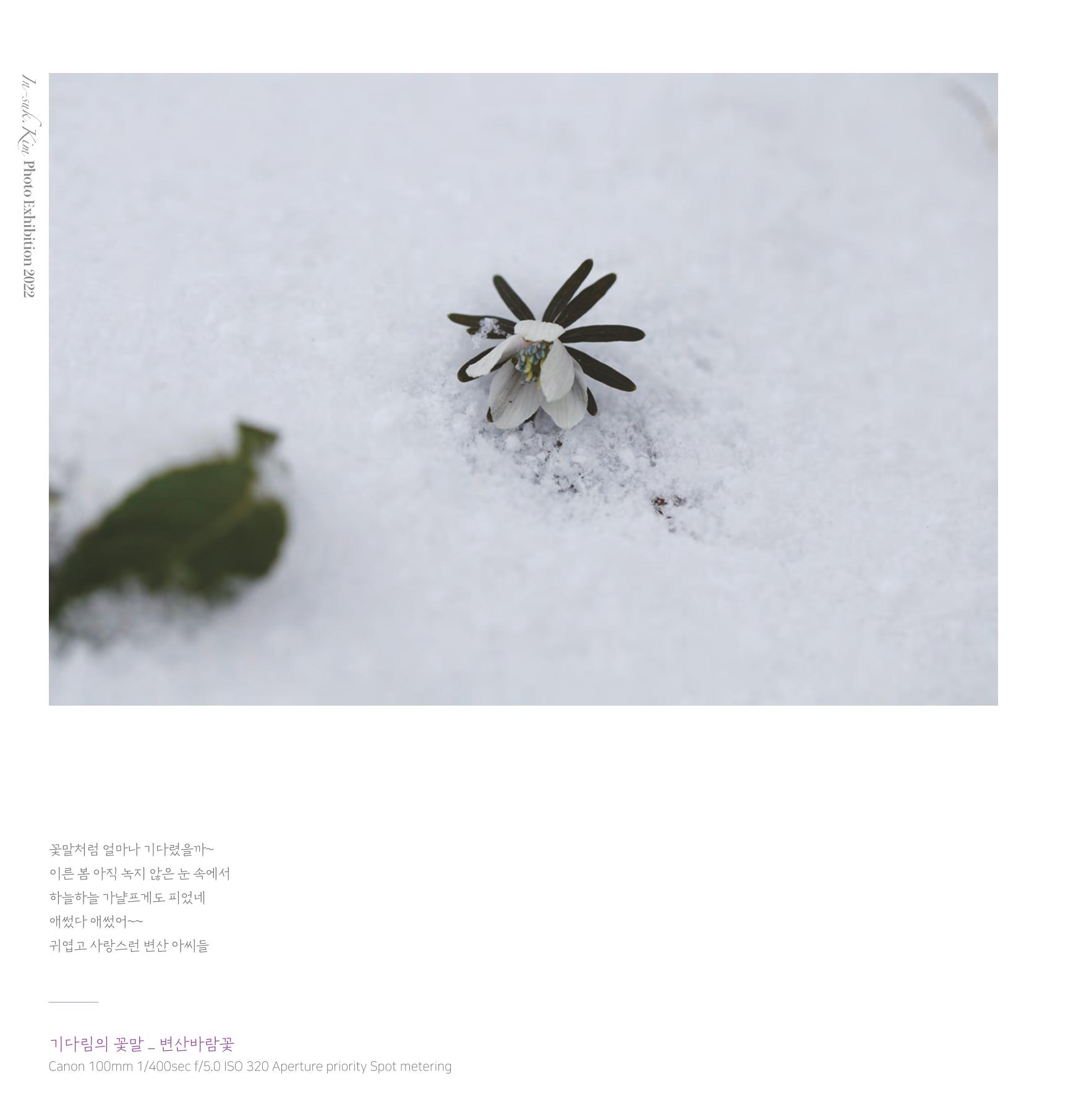 나의행복 전시 도록_혜안심 Insuk_kim 52페이지