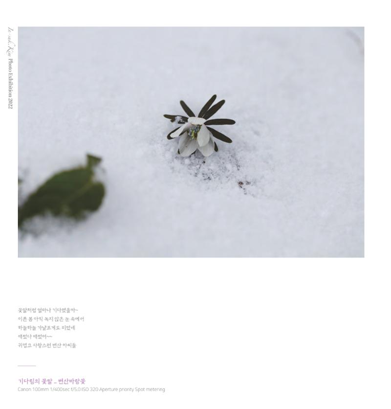 나의행복 전시 도록_혜안심 Insuk_kim 52페이지