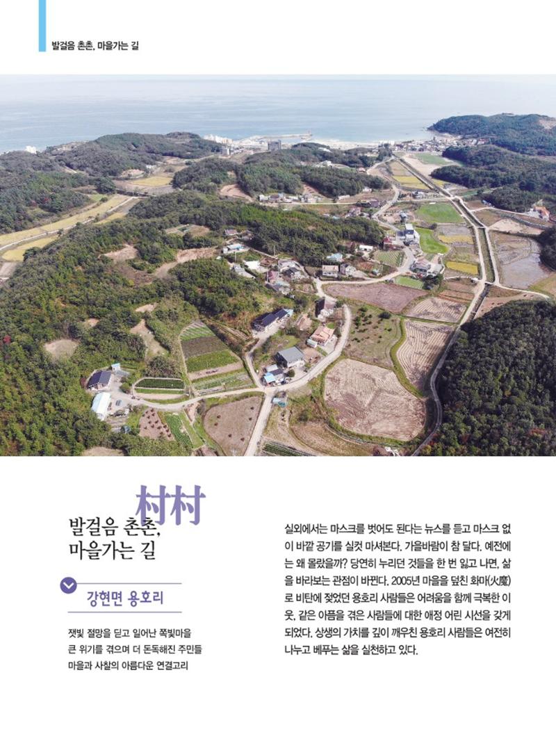 양양소식지 2022.11월호 8페이지