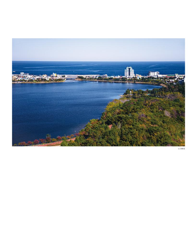 속초 문화특화지역조성사업 소식지 오케이속초 Vol. 14 13페이지