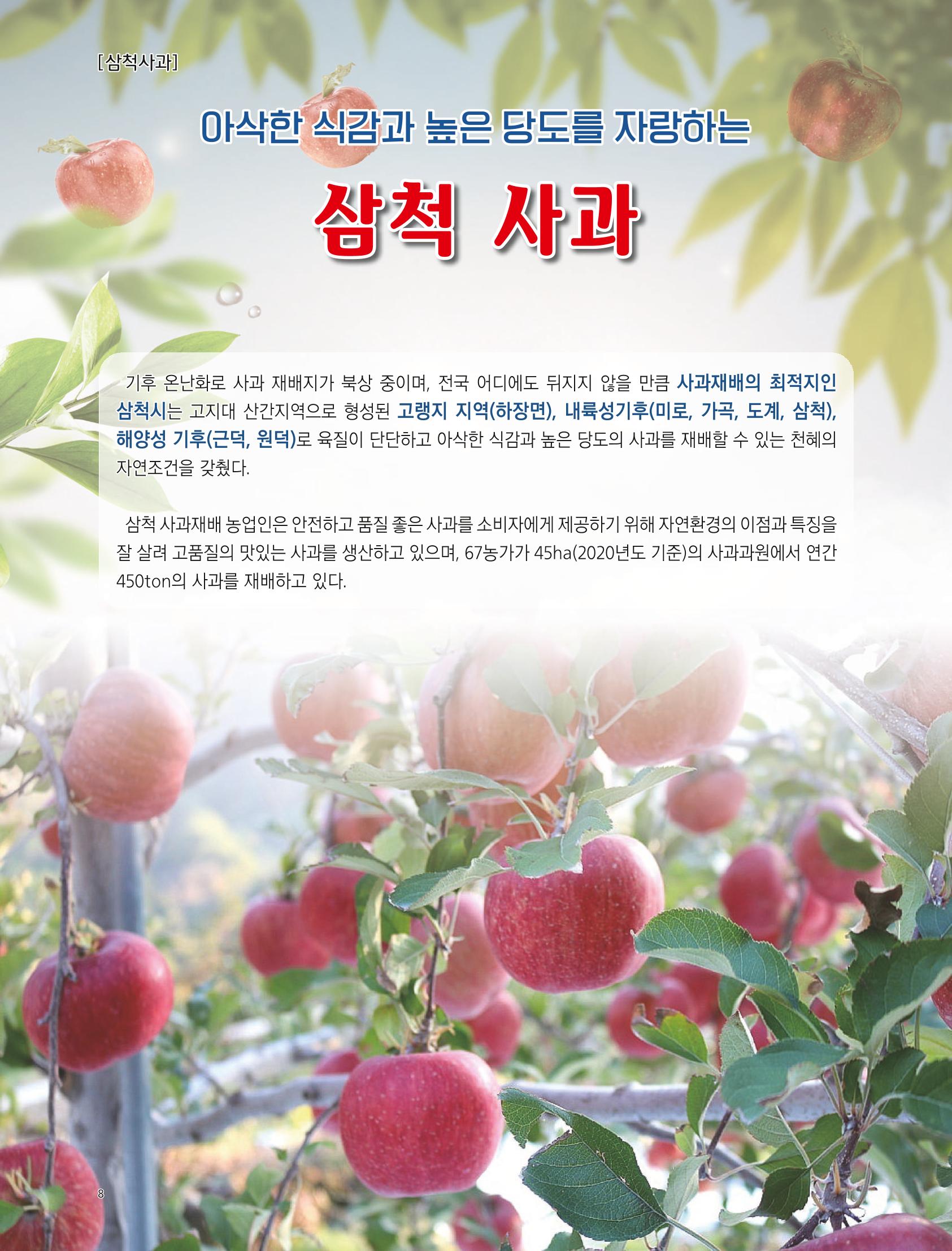 2022년 11월 삼척 시정소식지 8페이지