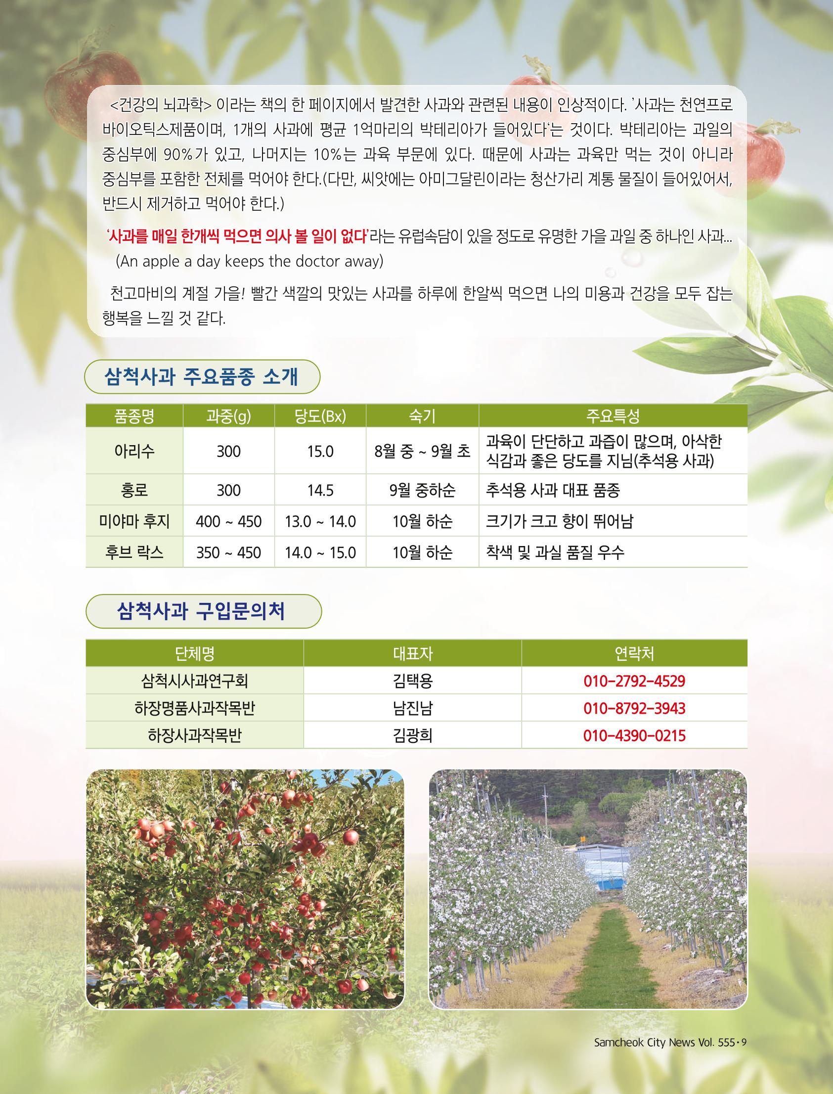 2022년 11월 삼척 시정소식지 9페이지