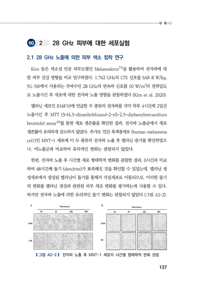 5G 인체영향  145페이지