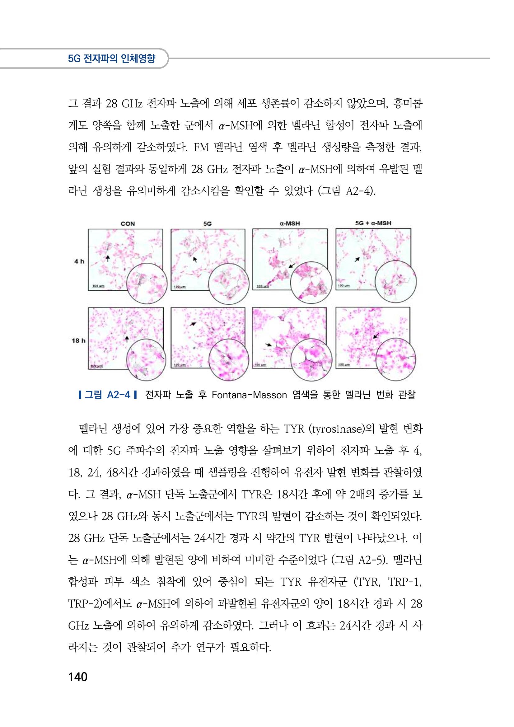 5G 인체영향  148페이지